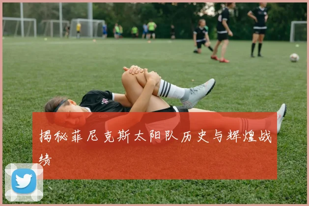 揭秘菲尼克斯太阳队历史与辉煌战绩